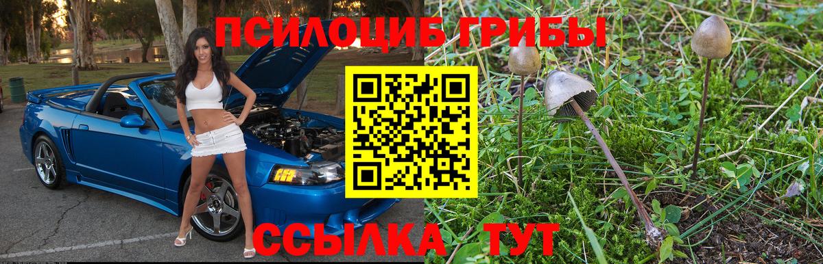 Псилоцибиновые грибы Magic Shrooms Саяногорск